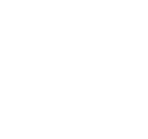 Tech-and-the-girl-Logo